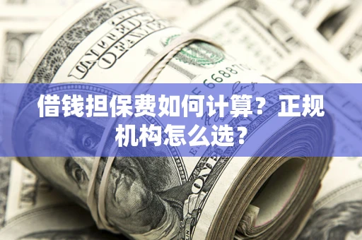 济南借钱担保费如何计算？正规机构怎么选？