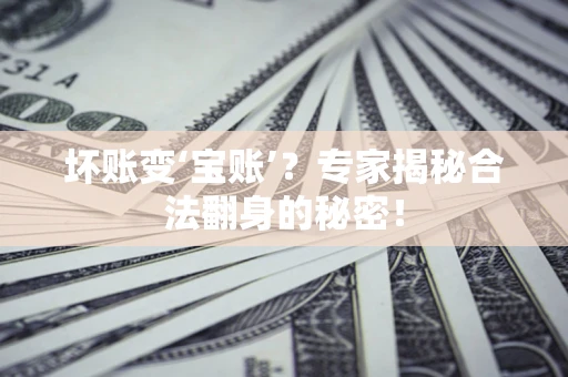 济南坏账变‘宝账’？专家揭秘合法翻身的秘密！