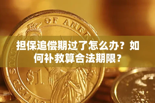 济南担保追偿期过了怎么办？如何补救算合法期限？
