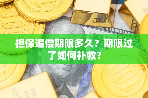 济南担保追偿期限多久？期限过了如何补救？