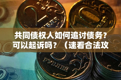 济南共同债权人如何追讨债务？可以起诉吗？（速看合法攻略）