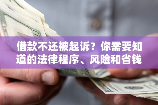 济南借款不还被起诉？你需要知道的法律程序、风险和省钱技巧