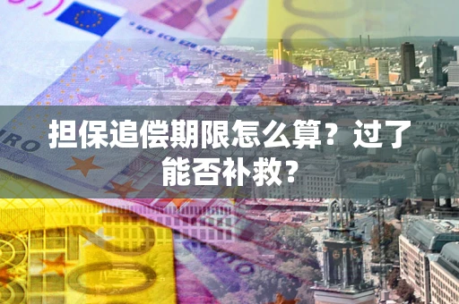 济南担保追偿期限怎么算？过了能否补救？